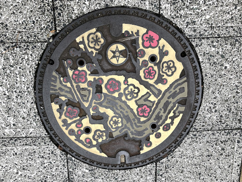 マンホールの蓋 水戸市にて