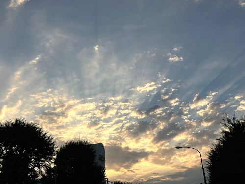 夕方の雲