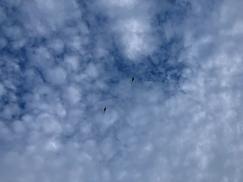 ひつじ雲